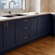 Navy Blue Cabinet Door Sample